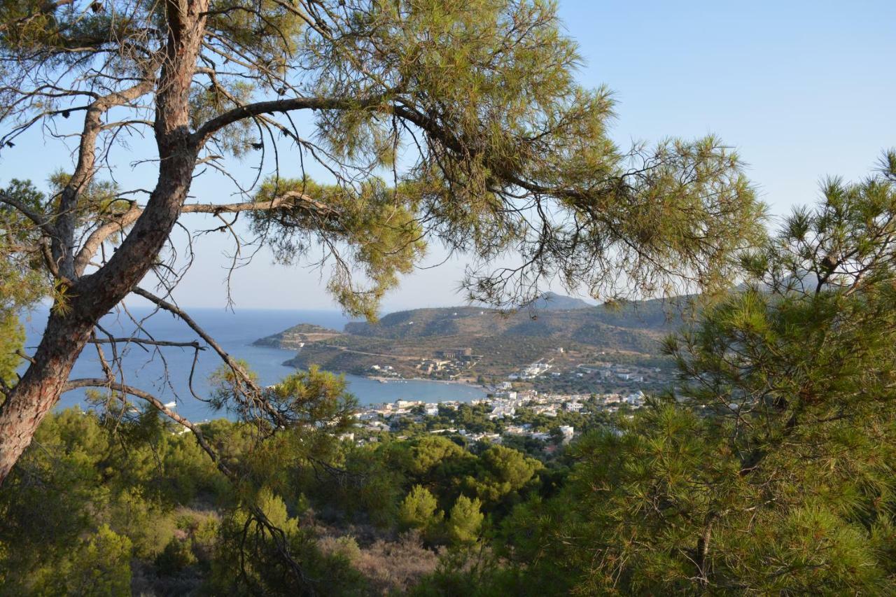 Golden Star Hotel Agia Marina  Екстериор снимка